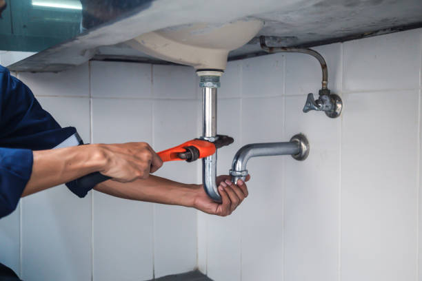 Best Drain Cleaning Services  in Silver Firs, WA
